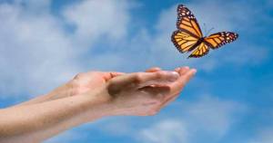 11742992_789109971188192_7411709548333979561_n