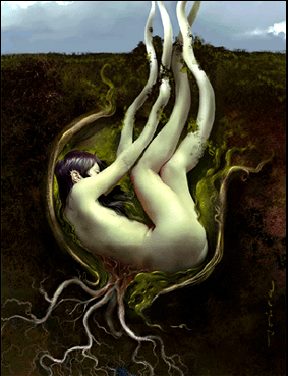 10411914_638879272877930_7661753002199684609_n